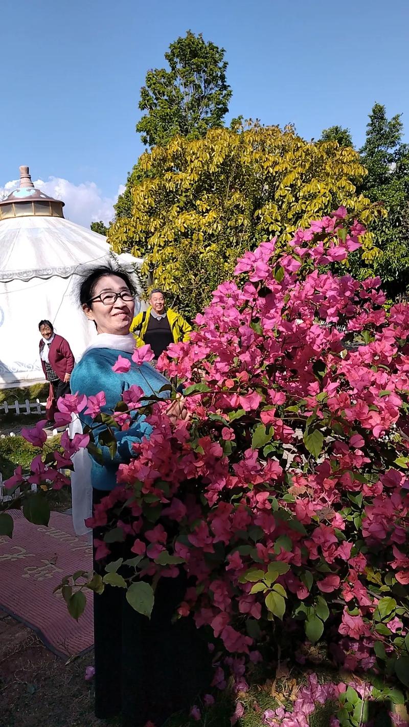 同学小聚团山村,蒙古包前留倩影